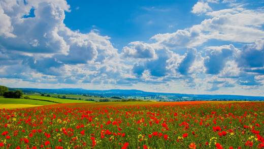 748132 (a): :2200x1238